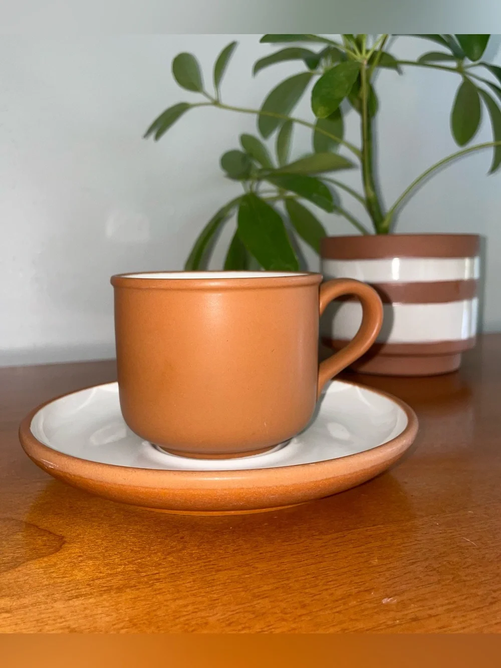 Pottery Barn Terracotta Cup & Saucer